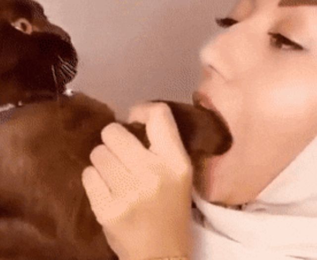 Acid GIFs, July 15 (25 gifs)