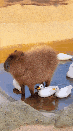 Acid GIFs, July 15 (25 gifs)