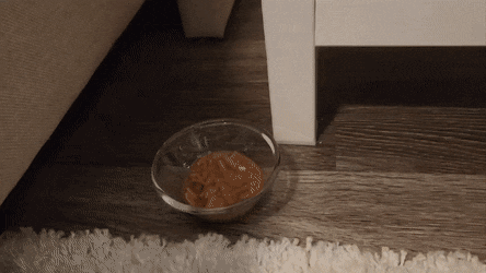 Acid GIFs, July 15 (25 gifs)