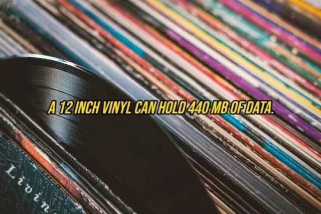 Interesting Facts (16 pics)