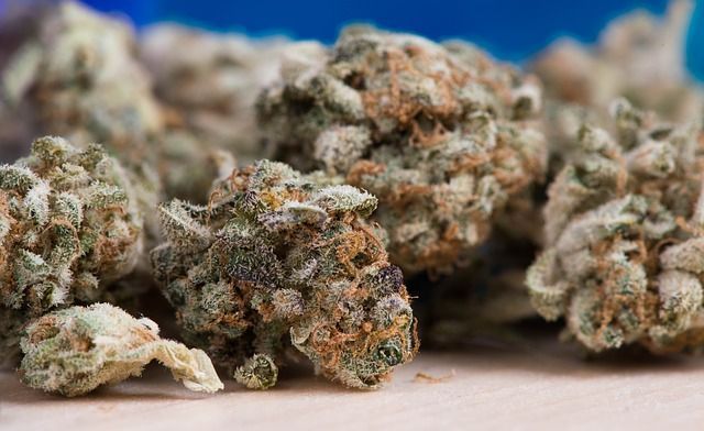 Are There Any Benefits Of Indica Bud?
