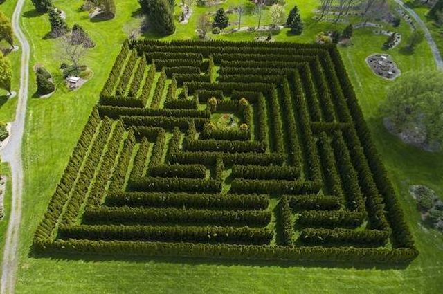 Photos For Perfectionists (35 pics)
