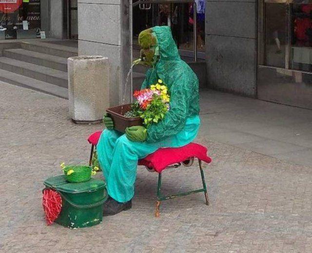 What Is Going On? (47 pics)