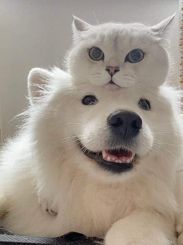 Daily Pictures. Part 2 (57 pics)