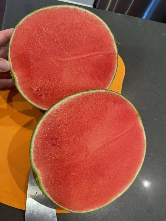 Photos For Perfectionists (44 pics)