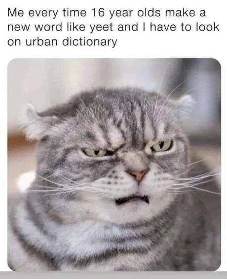 Daily Pictures. Part 2 (60 pics)