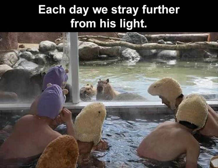 Daily Pictures. Part 2 (60 pics)