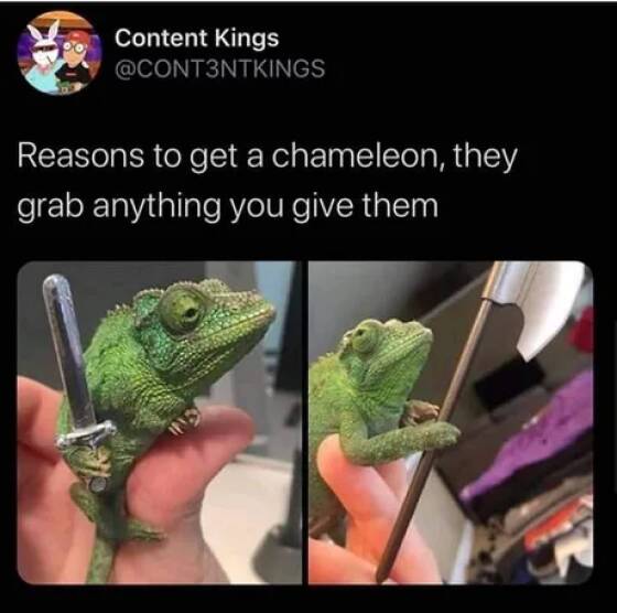 Daily Pictures. Part 2 (60 pics)