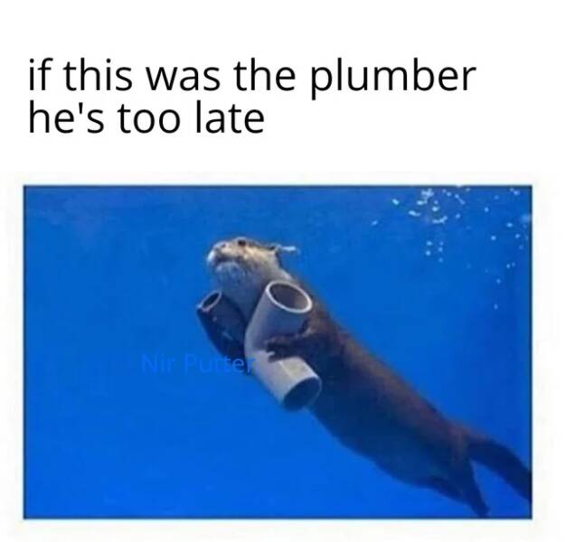 Daily Pictures. Part 2 (60 pics)