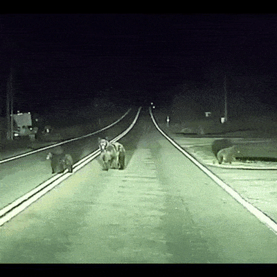 Acid GIFs, July 25 (25 gifs)