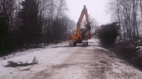 Acid GIFs, July 25 (25 gifs)
