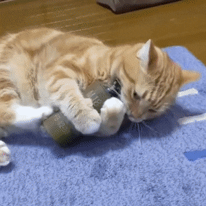 Acid GIFs, July 25 (25 gifs)