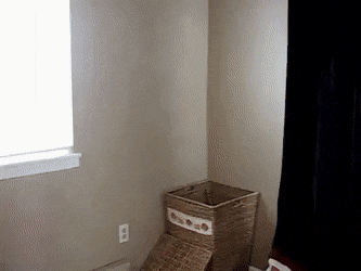 Acid GIFs, July 25 (25 gifs)
