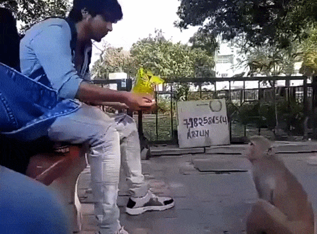 Acid GIFs, July 25 (25 gifs)