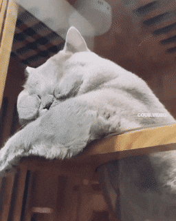 Acid GIFs, July 25 (25 gifs)