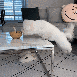 Acid GIFs, July 25 (25 gifs)