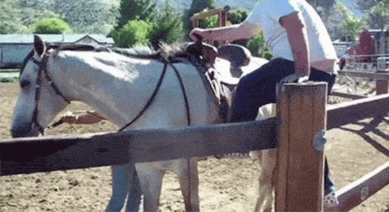 Acid GIFs, July 25 (25 gifs)