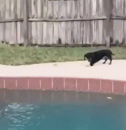 Acid GIFs, July 25 (25 gifs)