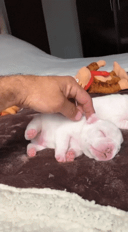 Acid GIFs, July 25 (25 gifs)