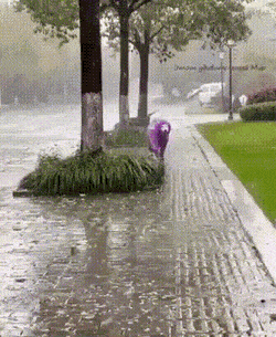 Acid GIFs, July 26 (25 gifs)