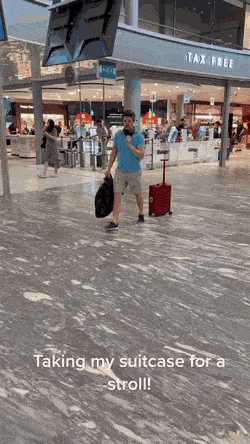 Acid GIFs, July 26 (25 gifs)