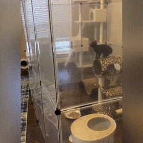 Acid GIFs, July 26 (25 gifs)