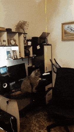 Acid GIFs, July 26 (25 gifs)