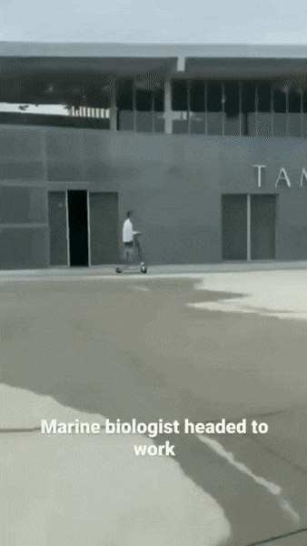 Acid GIFs, July 26 (25 gifs)