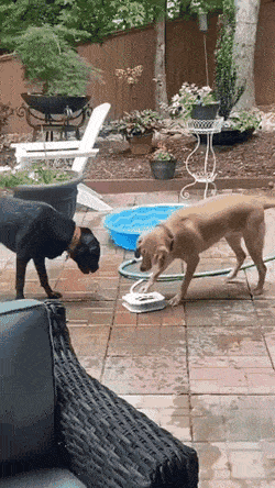 Acid GIFs, July 26 (25 gifs)