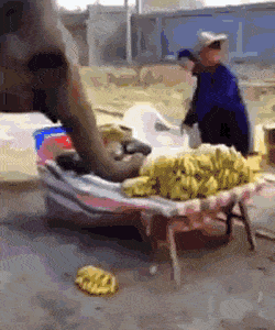 Acid GIFs, July 26 (25 gifs)