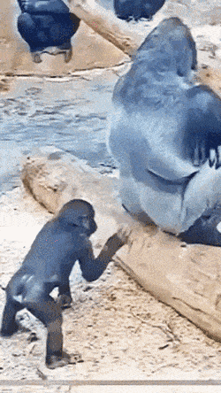 Acid GIFs, July 26 (25 gifs)