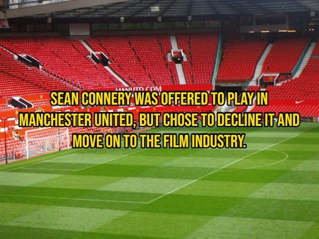 Random Facts (14 pics)