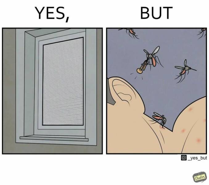 Yes, But... (21 pics)