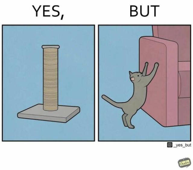 Yes, But... (21 pics)