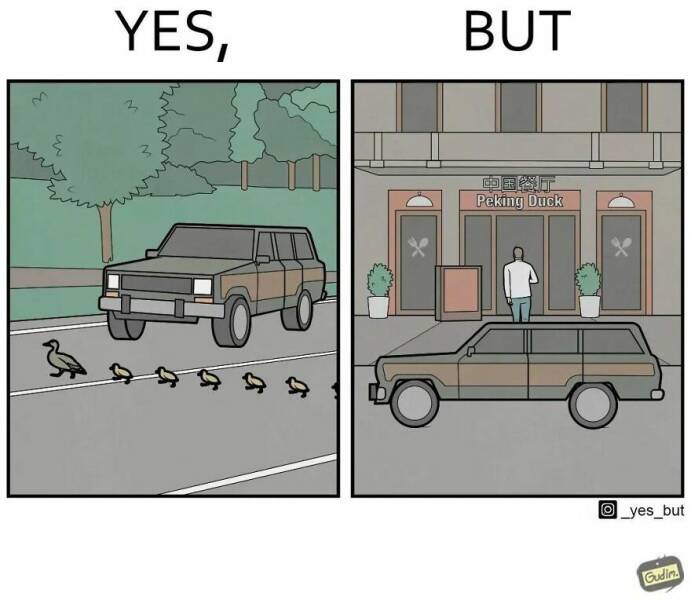 Yes, But... (21 pics)