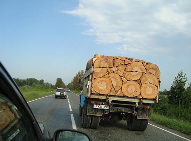 Photos For Perfectionists (15 pics)