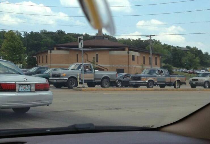 Funny Photos (25 pics)