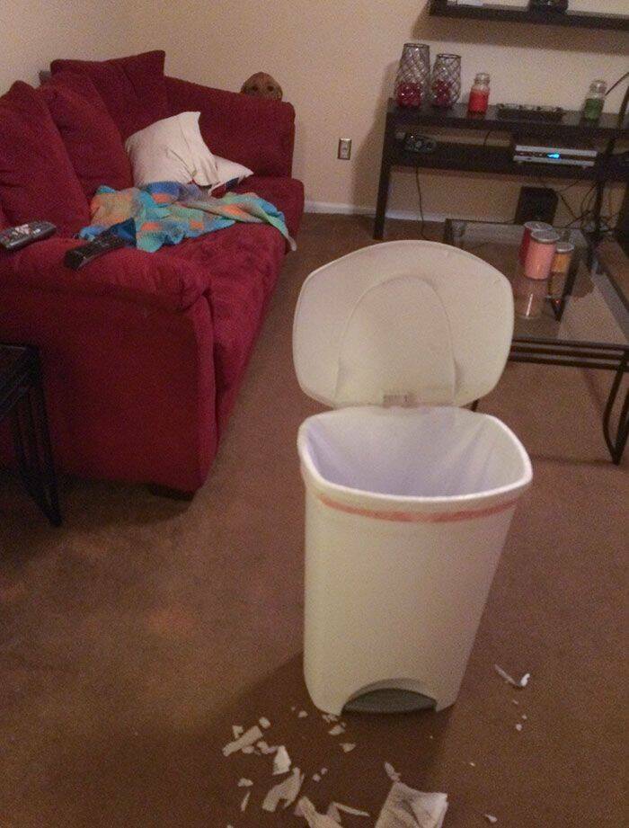 Funny Photos (25 pics)