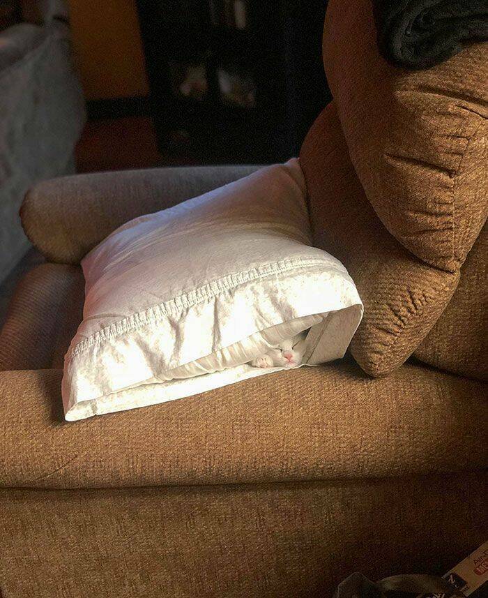 Funny Photos (25 pics)