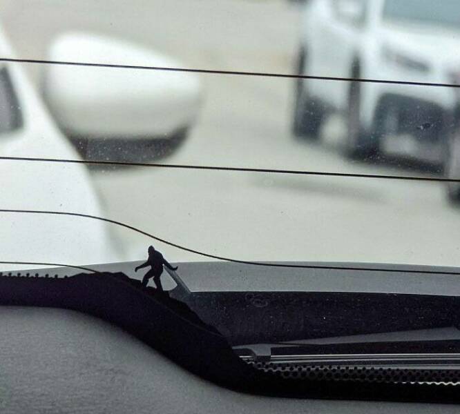 Unusual Designs (20 pics)