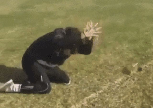 Acid GIFs, July 27 (25 gifs)
