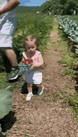 Acid GIFs, July 27 (25 gifs)