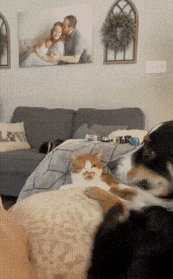 Acid GIFs, July 27 (25 gifs)