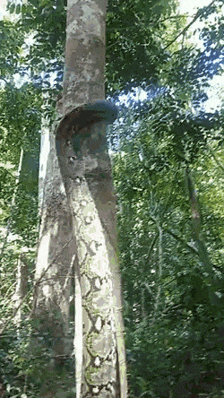 Acid GIFs, July 27 (25 gifs)