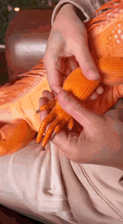 Acid GIFs, July 27 (25 gifs)