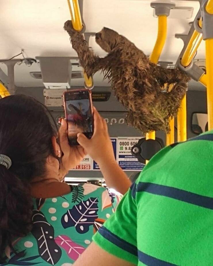 Daily Pictures. Part 2 (63 pics)