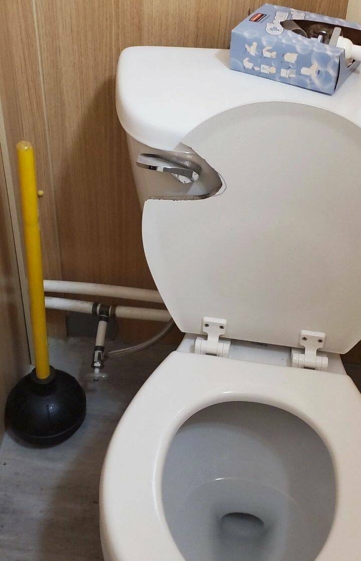 Daily Pictures. Part 2 (63 pics)