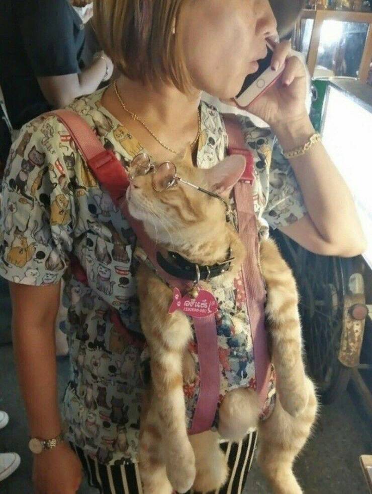Daily Pictures. Part 2 (63 pics)