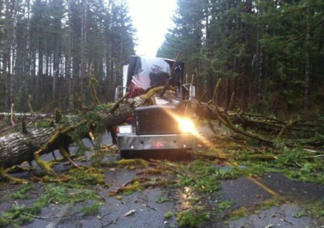 Odd Car Crashes (20 pics)