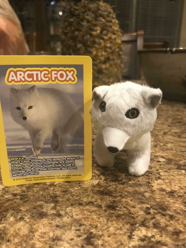 Terrible Kids Toys (27 pics)